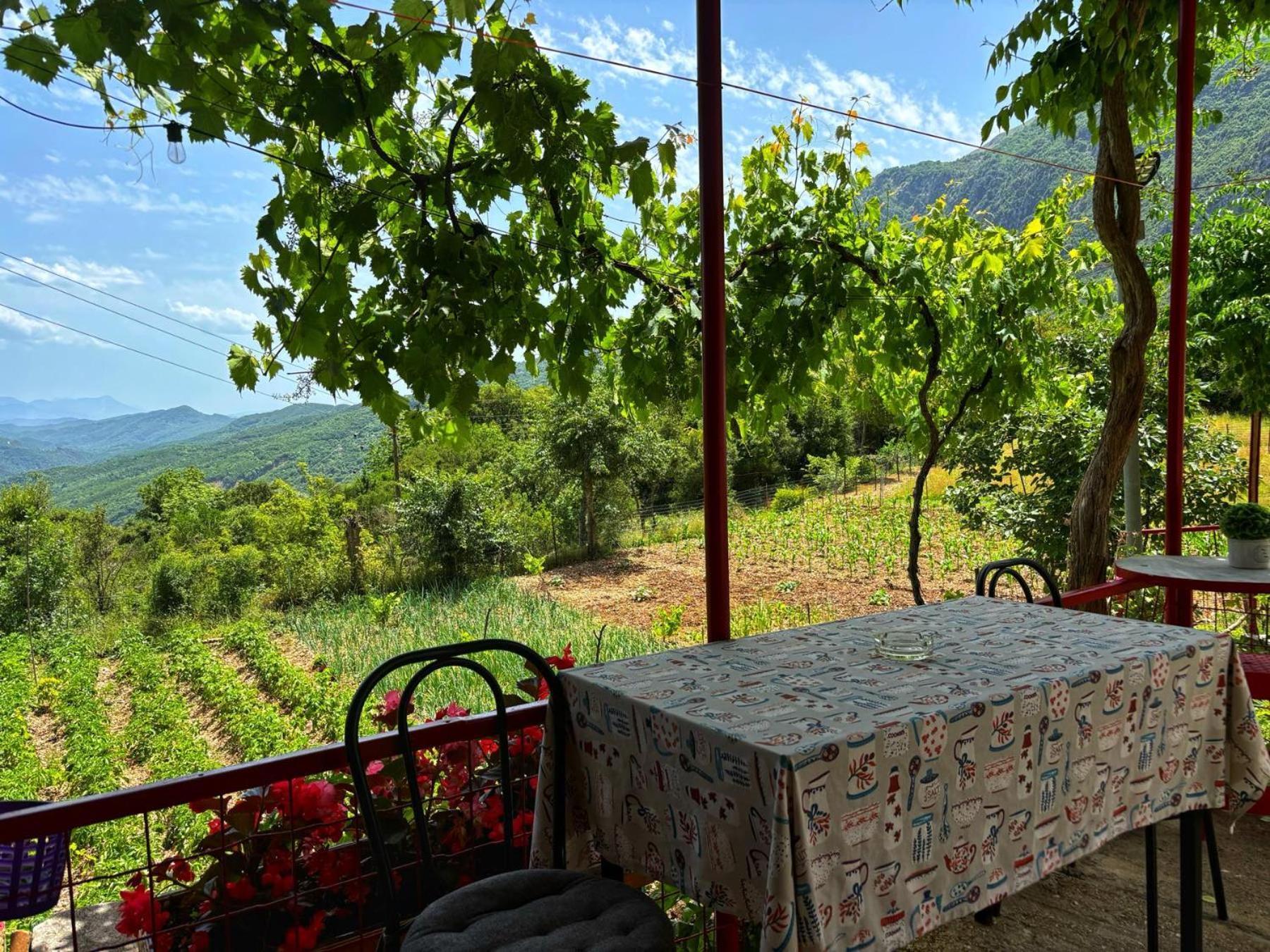 Georgaras Accommodation Platanoussa Extérieur photo
